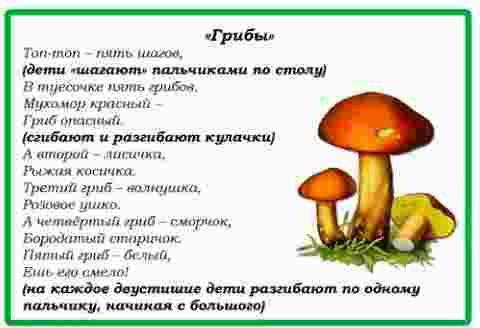 palchikovaya-igra-griby.png