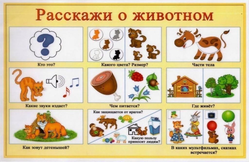 PfS5yrnFTt4.jpg