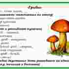 palchikovaya-igra-griby.png