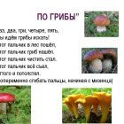 img6.jpg