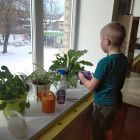 IMG_20210318_103112_1.jpg