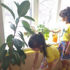 IMG_20210318_103006_1.jpg